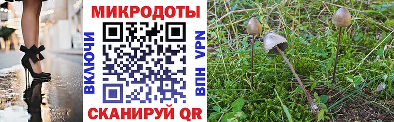 mega зеркало  Ростов-на-Дону  Псилоцибиновые грибы Psilocybe  что такое  