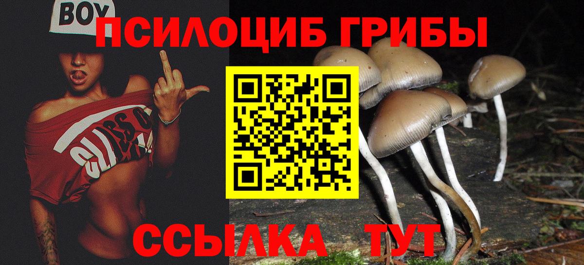Ростов-на-Дону  Псилоцибиновые грибы GOLDEN TEACHER  Вход с VPN 