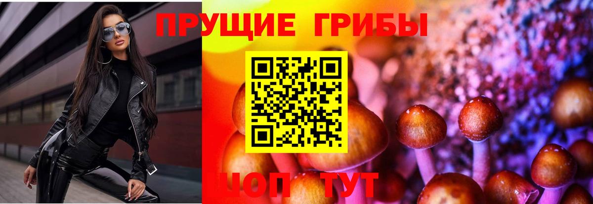 Псилоцибиновые грибы Cubensis Ростов-на-Дону